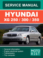 Hyundai XG 250 / 300 / 350 (Хюндай ХГ 250 / 300 / 350). Руководство по ремонту, инструкция по эксплуатации. Модели, оборудованные бензиновыми двигателями