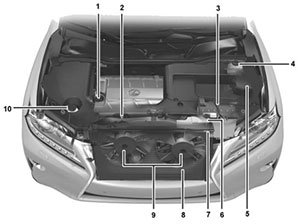 Моторный отсек Lexus RX 270